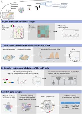 Identification of the Association Between Toll-Like Receptors and T-Cell Activation in Takayasu’s Arteritis